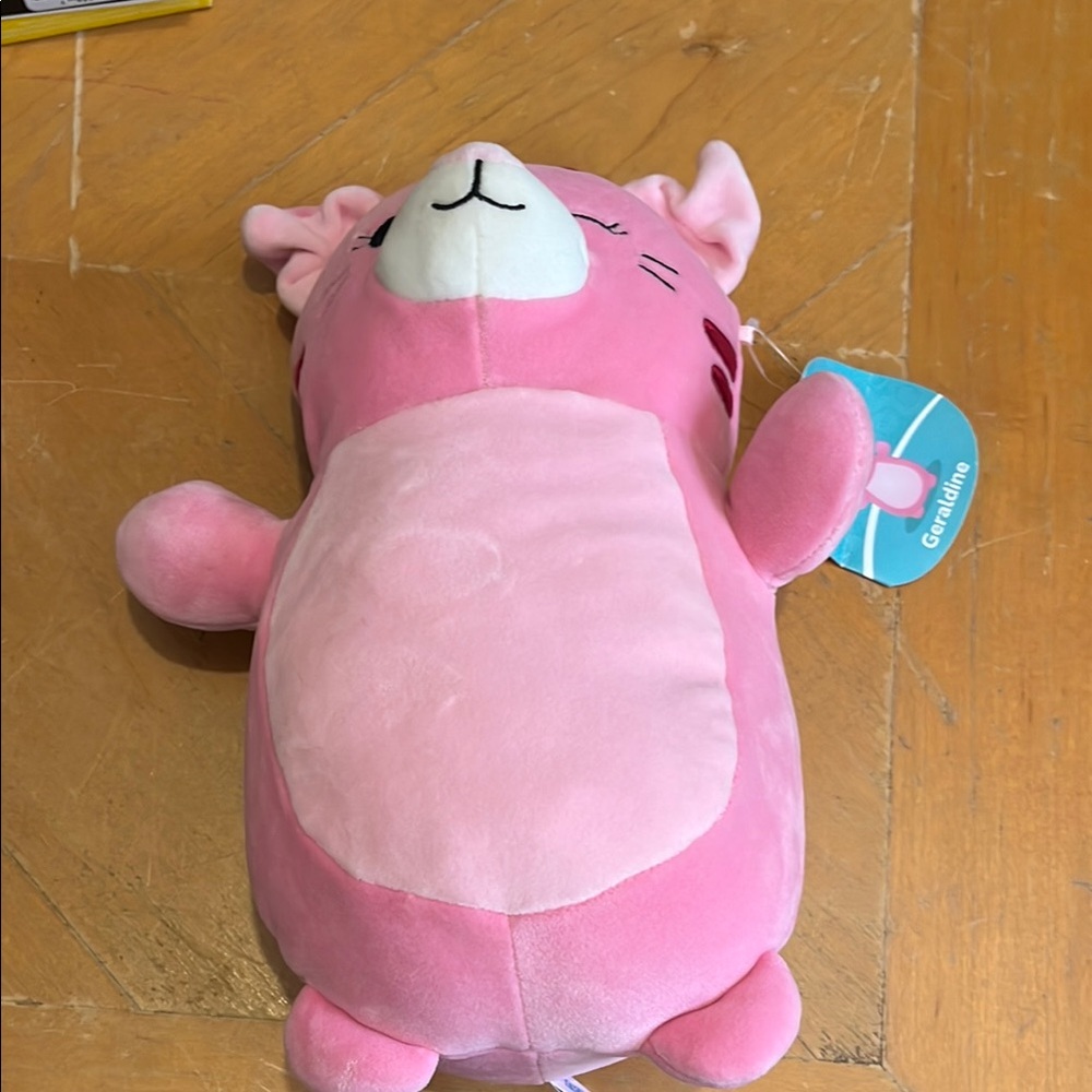 Hug Me squishmallows . Geraldine mini